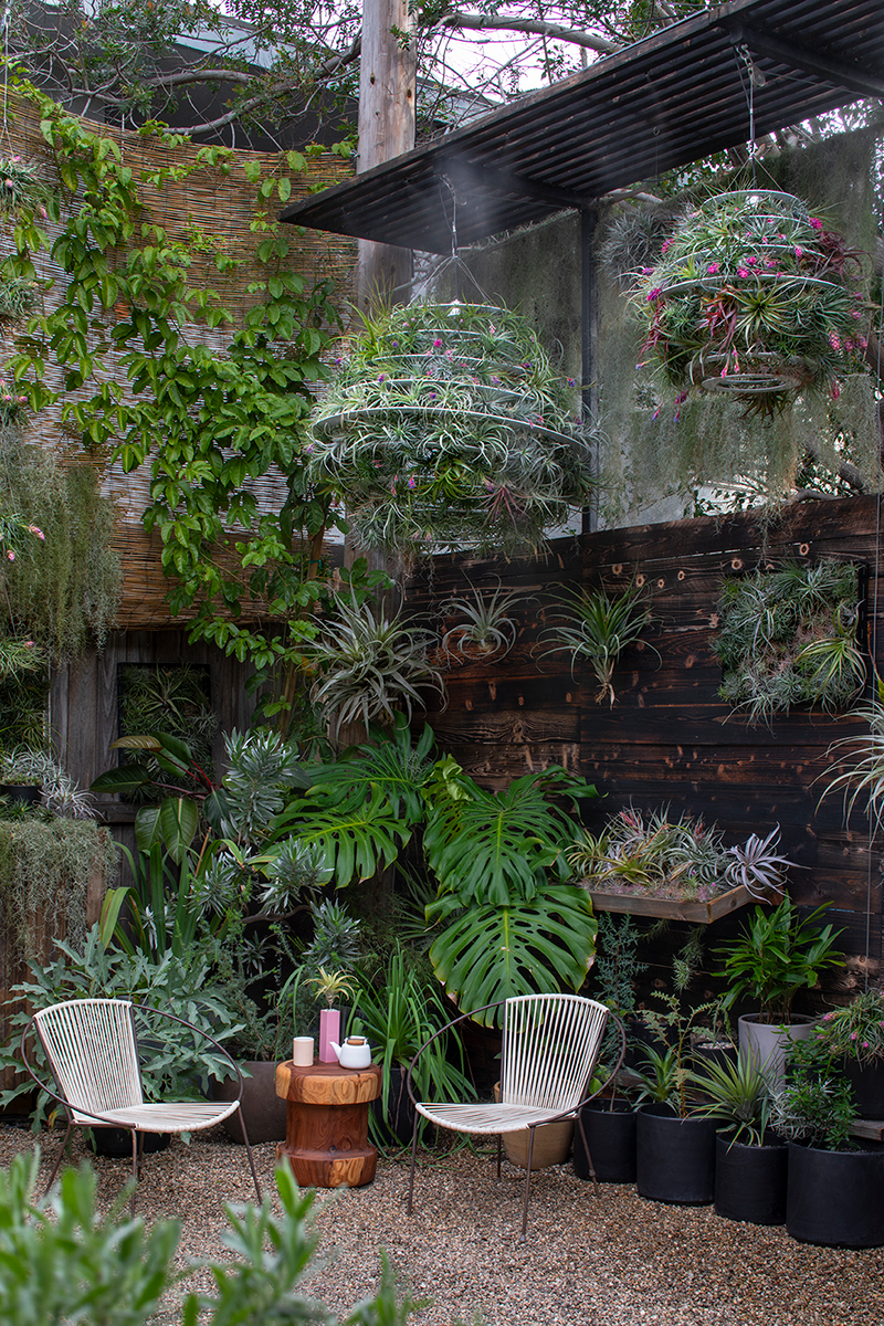 Inspiration from Airplantman's Garden — Flora Grubb Gardens Plant